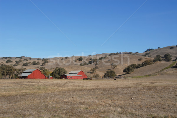 Red barn & brown hills Stock photo © disorderly