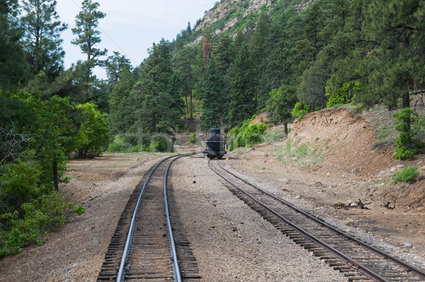 Railroad tracks Stock photo © disorderly