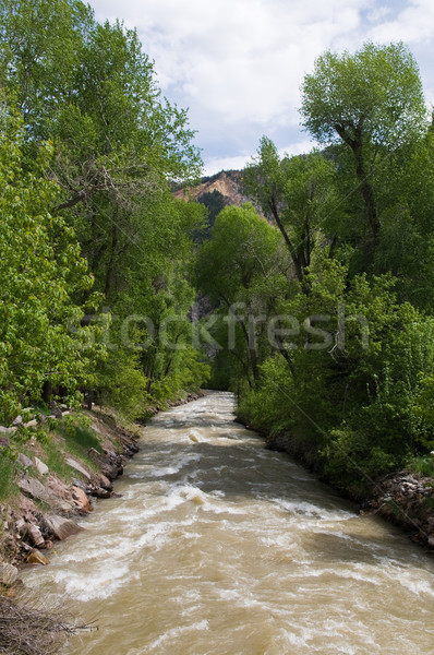 Uncompahgre River Stock photo © disorderly