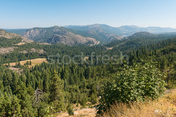 Decalaj Nevada munţi California pădure copaci Imagine de stoc © disorderly