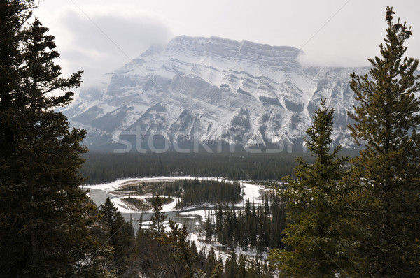 Snow-covered mountains Stock photo © disorderly