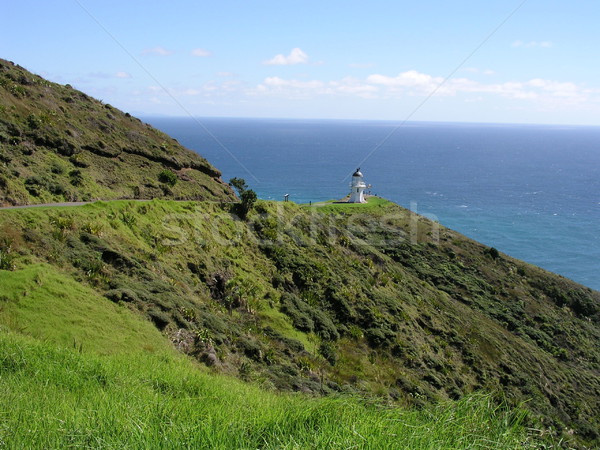 Cape Reinga Lighthouse Stock photo © disorderly