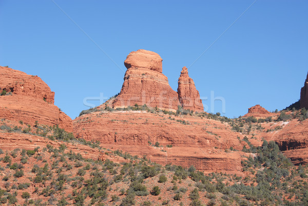 Kırmızı kaya çöl Arizona Stok fotoğraf © disorderly