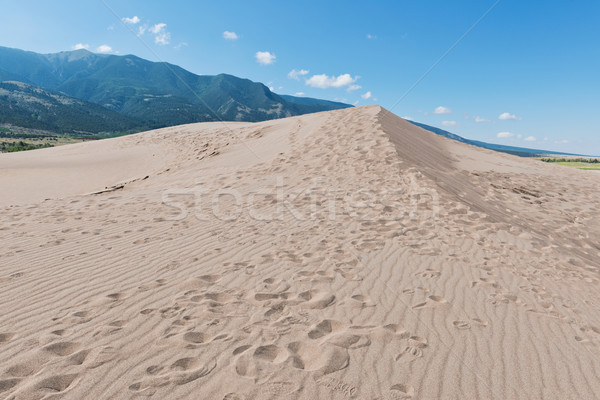 Homok lábnyomok nagyszerű homokdűne park hegyek Stock fotó © disorderly
