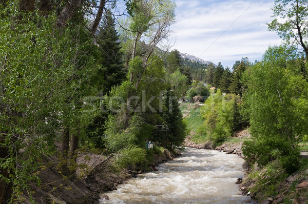 Uncompahgre River Stock photo © disorderly