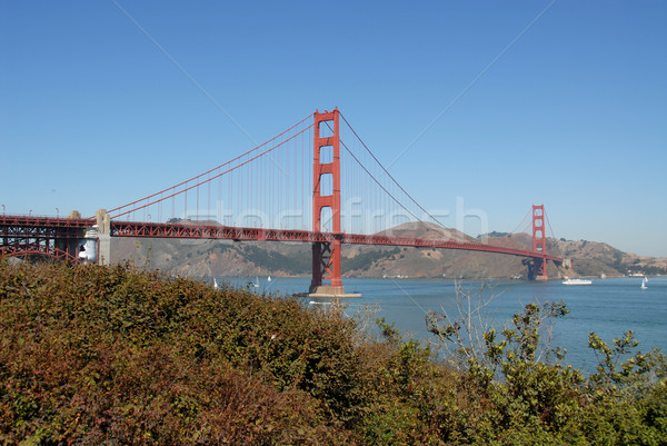 Golden Gate Bridge San Francisco California carretera cables puerta Foto stock © disorderly