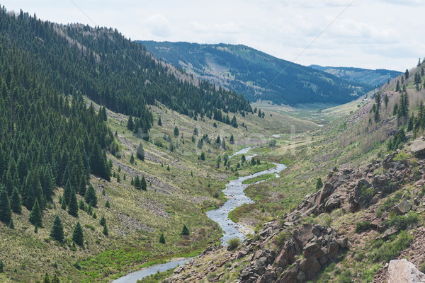 Creek Stock photo © disorderly