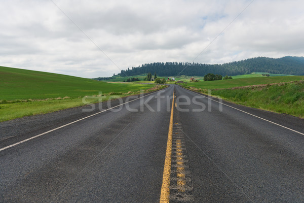 Road Stock photo © disorderly