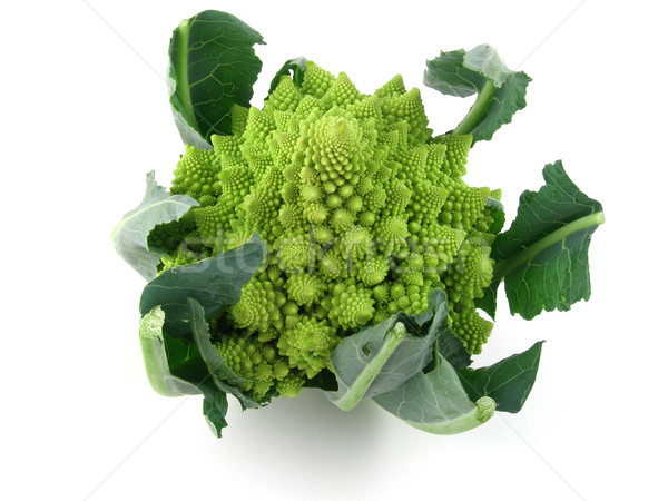 Romanesco Stock photo © disorderly