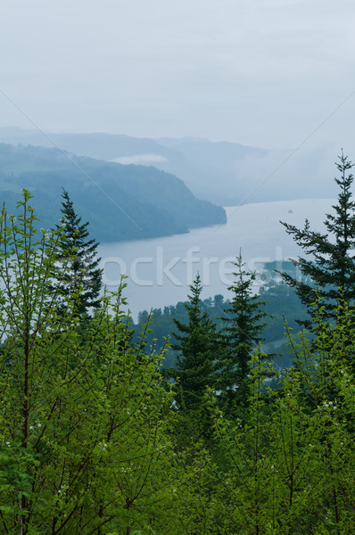 Columbia Gorge Stock photo © disorderly