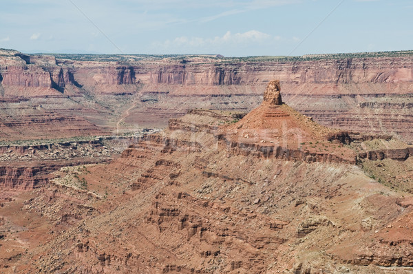 Colorado River Stock photo © disorderly