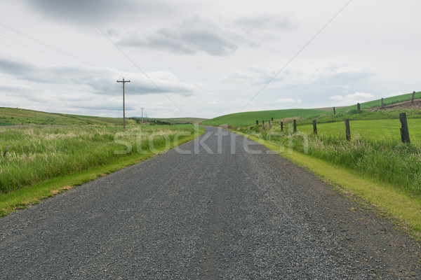 żwiru drogowego pszenicy pola drogowego gospodarstwa wzgórza Zdjęcia stock © disorderly