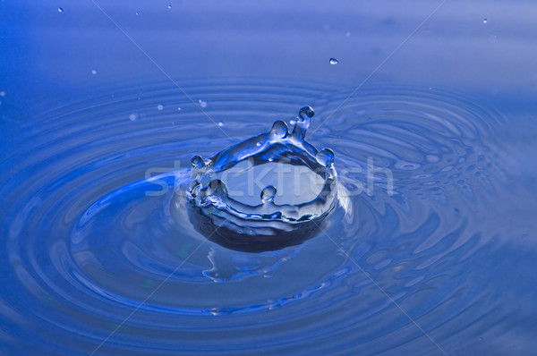 Splash Stock photo © disorderly