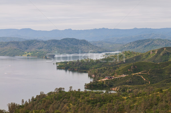 Lago áspero forestales árboles bosques Foto stock © disorderly