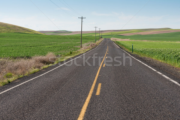 Road Stock photo © disorderly