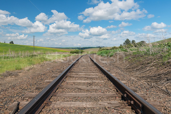 Railroad Stock photo © disorderly