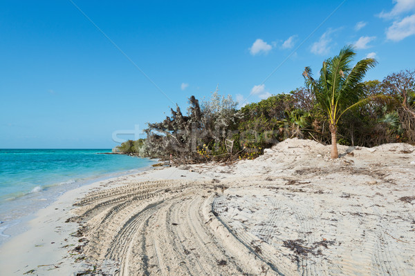 Beach Stock photo © disorderly