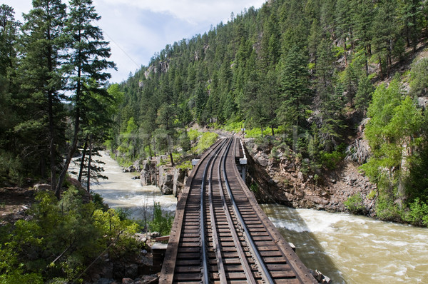 Railroad tracks Stock photo © disorderly