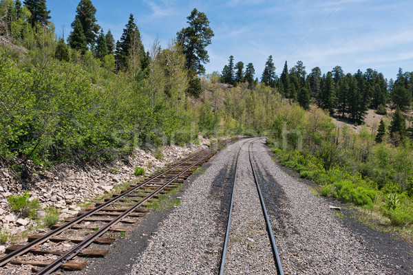 Keskeny kaliber vasúti sinek szállítás erdő Stock fotó © disorderly