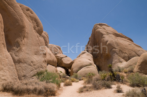 Jumbo Rocks Stock photo © disorderly