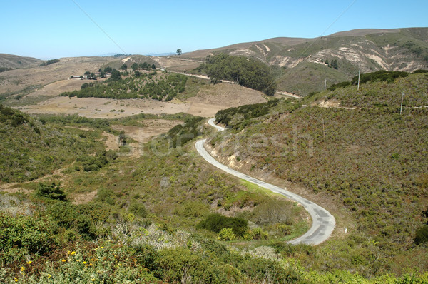 Mountain road Stock photo © disorderly