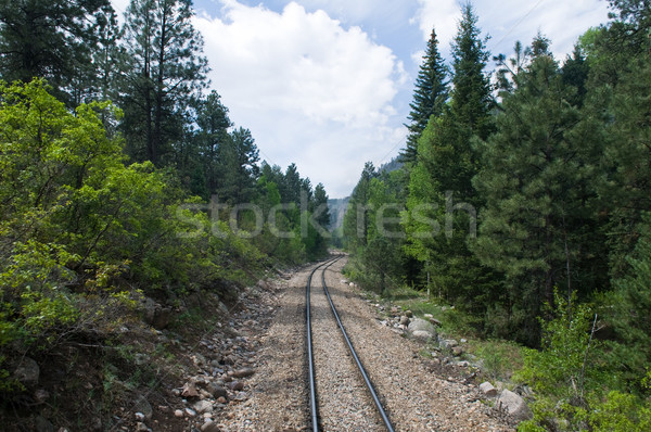 Railroad tracks Stock photo © disorderly