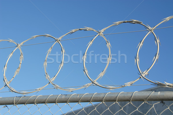 Aparat de ras sârmă top securitate gard Imagine de stoc © disorderly