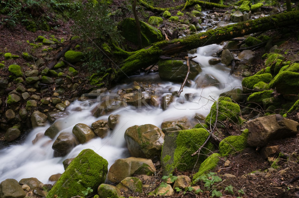 Kaskade Wasser fließend Felsen Canyon Park Stock foto © disorderly