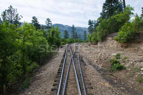 Railroad tracks Stock photo © disorderly