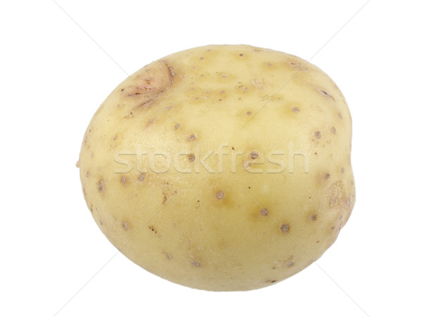 Beyaz patates minyatür pişirme çiftçi Stok fotoğraf © disorderly