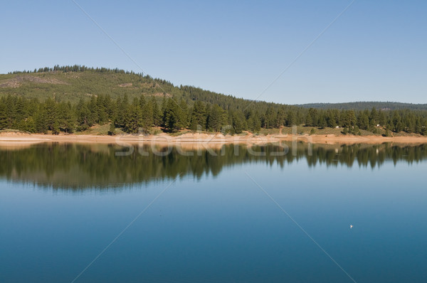 池 森林 加州 湖 商業照片 © disorderly