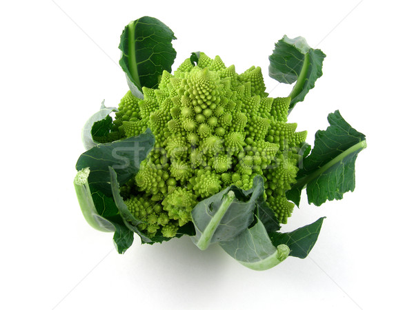 Romanesco Stock photo © disorderly