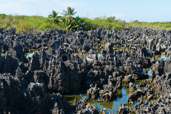 Stockfoto: Hel · kalksteen · rock · steen · tropische