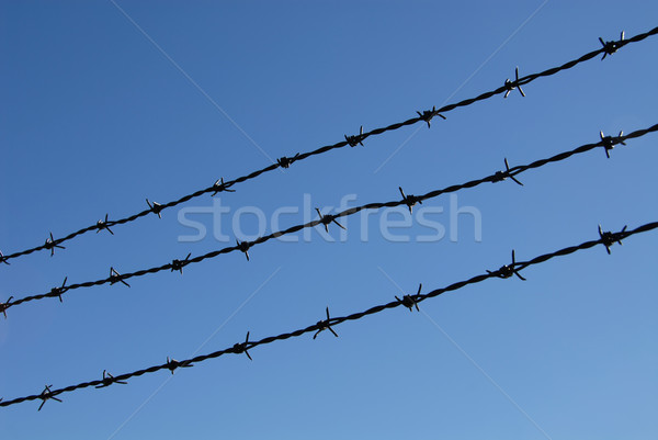 Barbed wire Stock photo © disorderly
