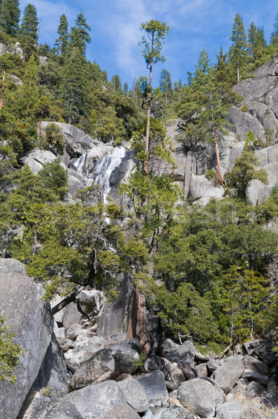 Foto stock: Cascada · cascada · arroyo · parque · nacional · de · yosemite · California · árboles