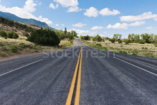 Stock photo: Highway