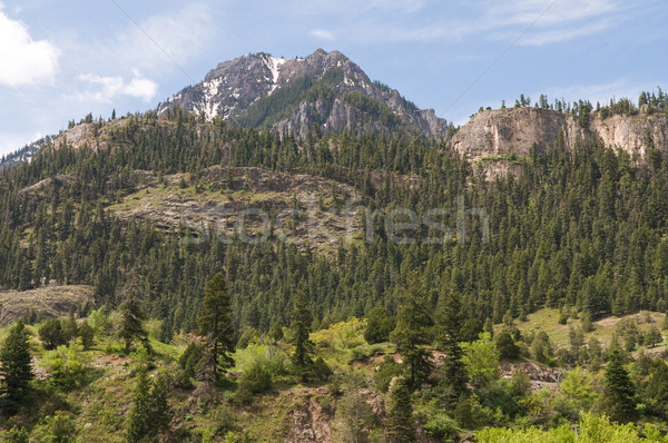 Mountains Stock photo © disorderly