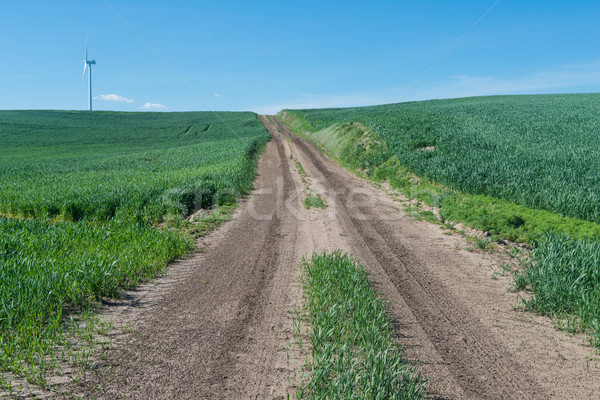 ストックフォト: 未舗装の道路 · フィールド · 小麦 · 道路 · 農業 · トラック