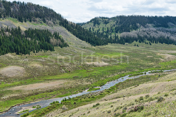Stock fotó: Patak · alpesi · völgy · déli · Colorado · víz