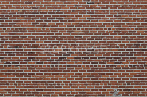 Brick wall Stock photo © disorderly