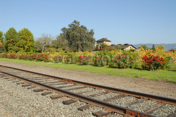 Wine Country railroad Stock photo © disorderly