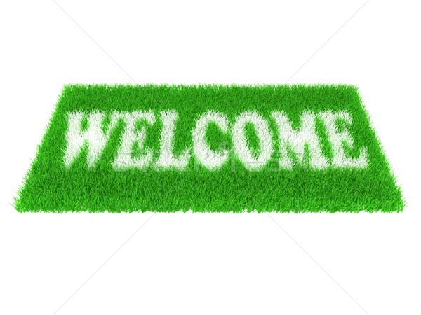 Grass welcome carpet. Welcome doormat carpet Stock photo © djmilic