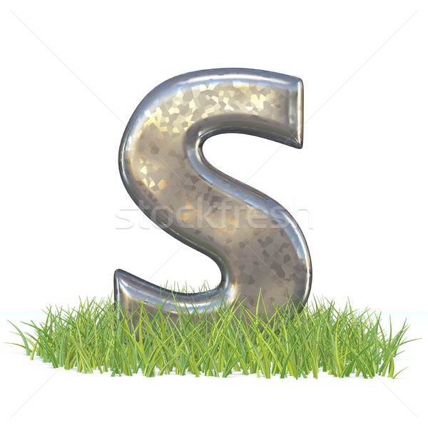 Galvanized metal font Letter S in grass 3D Stock photo © djmilic