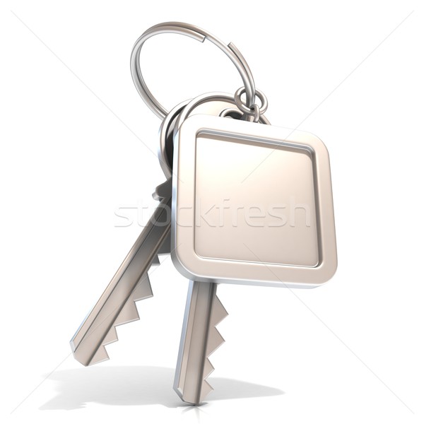 Two door keys and square blank label on ring. 3D Stock photo © djmilic