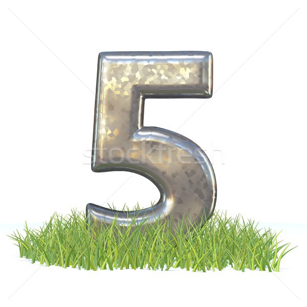 Galvanized metal font Number FIVE 5 in grass 3D Stock photo © djmilic