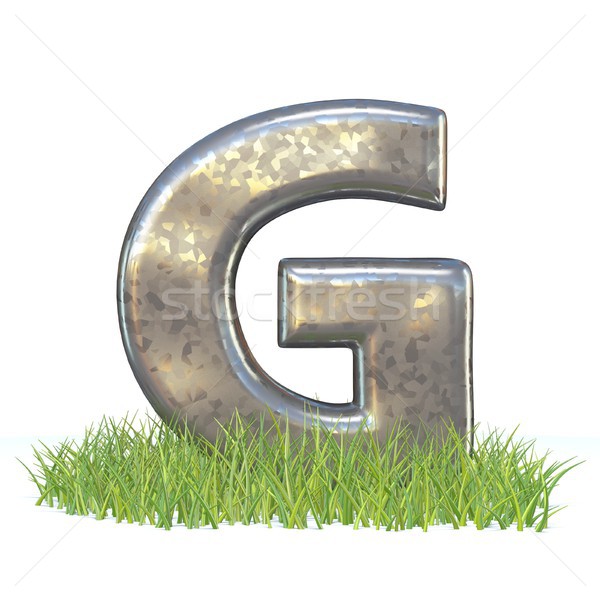 Galvanized metal font Letter G in grass 3D Stock photo © djmilic