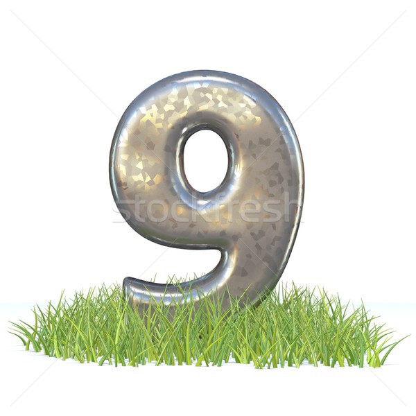 Galvanized metal font Number NINE 9 in grass 3D Stock photo © djmilic