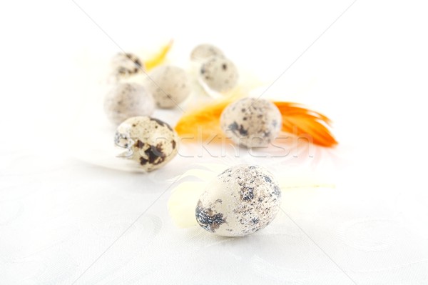 Scattered easter quail eggs on white tablecloth  Stock photo © dla4