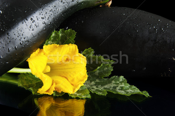 Stock foto: Blumen · schwarz · Ansicht · zwei · Blume · Blatt