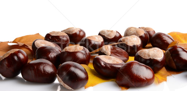 Horizontally many chestnuts with autumn leaves on white background Stock photo © dla4